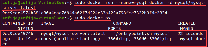 MySQL в Docker: запуск контейнера и сохранение данных — иллюстрация 3