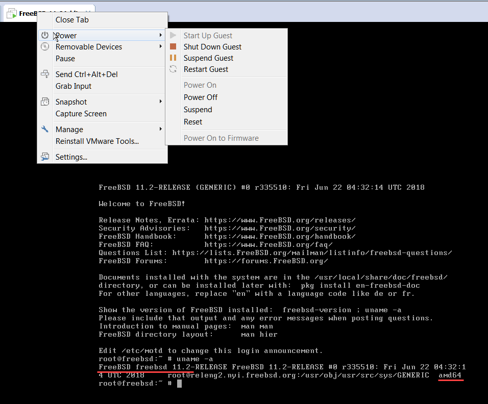 виртуальная машина с freebsd 11.2