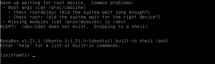 initramfs в busybox /dev/sda1 does not exist