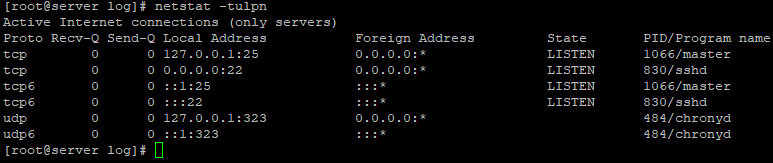 netstat -tulpn проверка открытых портов