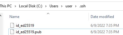 открытый и закрытый ssh ключи в windows