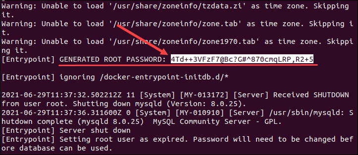 MySQL в Docker: запуск контейнера и сохранение данных — иллюстрация 4
