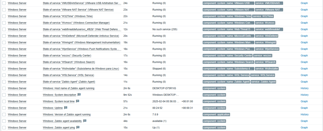 Системная информация Windows Server в Zabbix