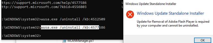 Update for Removal of Adobe Flash Player is required by your computer and cannot be uninstalled.
