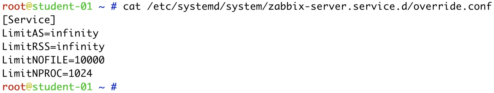 Override-конфигурация LimitNOFILE для Zabbix Server