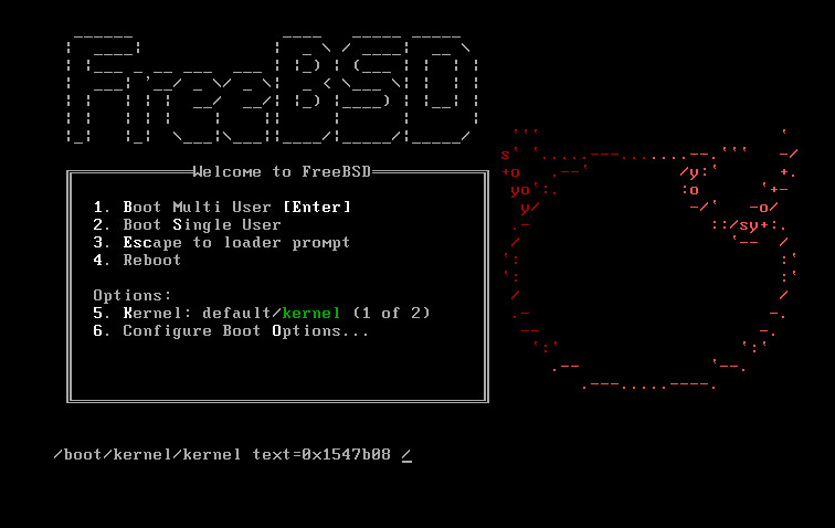 freebsd 11 под esxi5.5