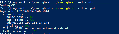 winlogbeat test провека конфигурации