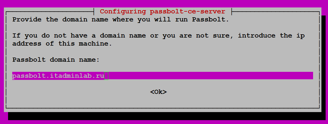 Настройка доменного имени Passbolt