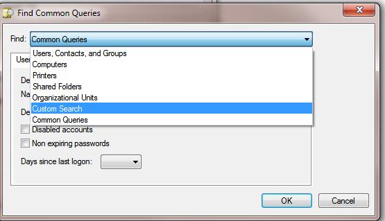 Custom Search