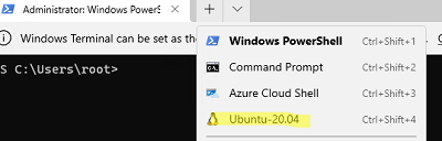 запуск нужного дистрибутива WSL из Windows Terminal