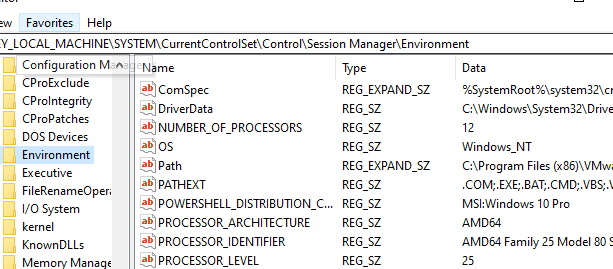 Переменные окружения хранятся в реестре Windows