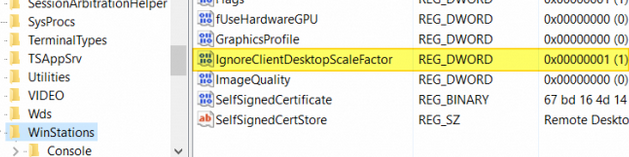 Параметр реестра IgnoreClientDesktopScaleFactor 