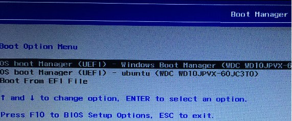 os boot manager uefi ручная загрузка windows 10