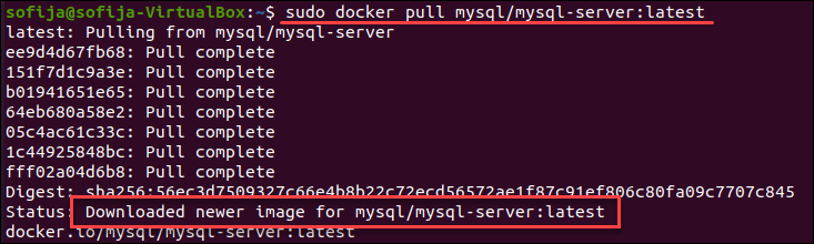 MySQL в Docker: запуск контейнера и сохранение данных — иллюстрация 1