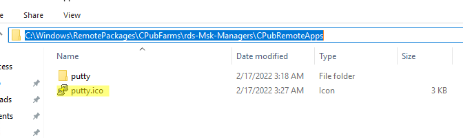 смена иконки для remoteapp