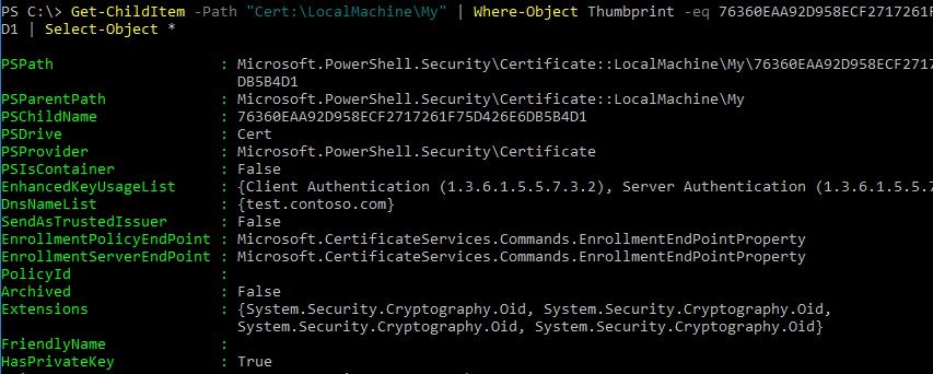 вывести параметры самоподписанного сертификата из powershell