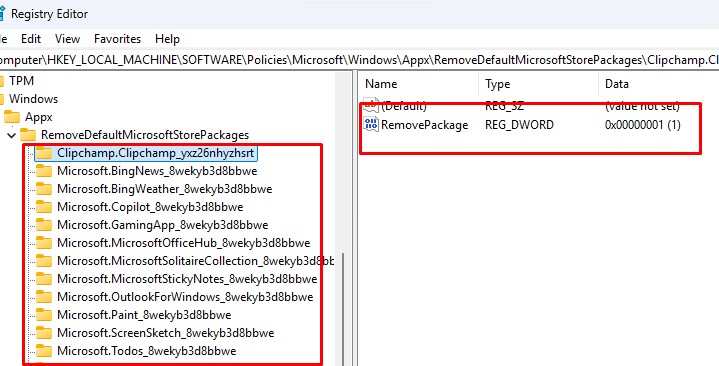 Ветка RemoveDefaultMicrosoftStorePackages в реестре содержит приложения, которые будут автоматически удалены
