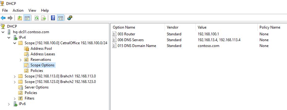 опции DHCP scope