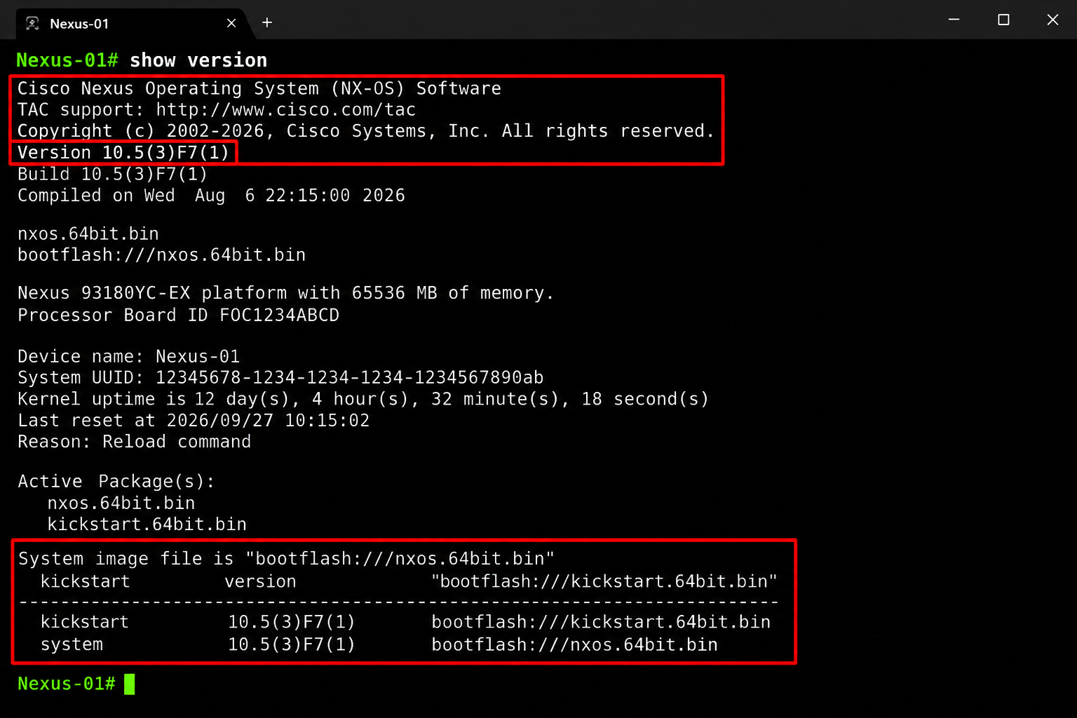 Демонстрационный пример show feature с выделенными NX-API, NGOAM и MPLS OAM