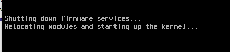 vmware esxi Shutting down firmware services… Relocating modules and starting up the kernel…