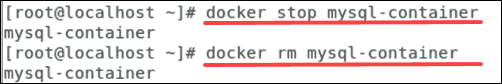 MySQL в Docker: запуск контейнера и сохранение данных — иллюстрация 9